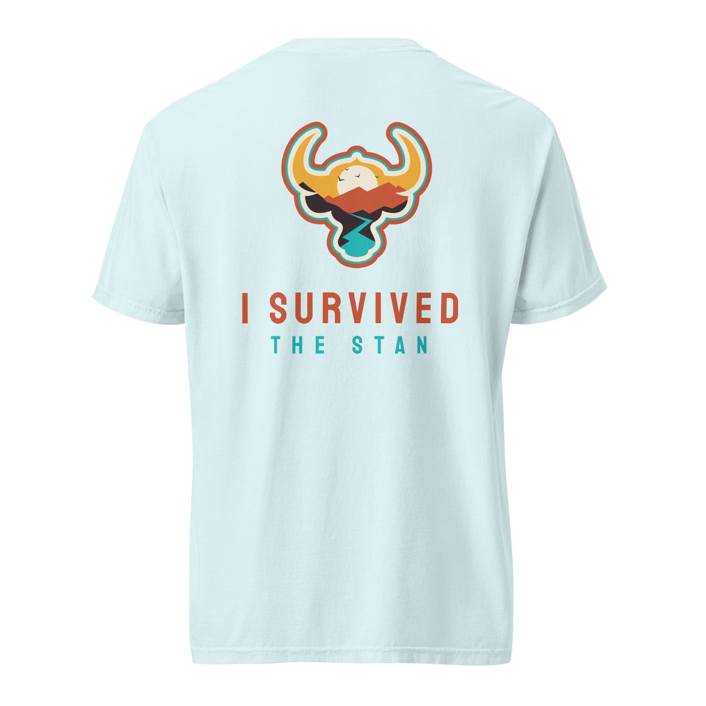 I Survived the Stan Unisex heavyweight t-shirt