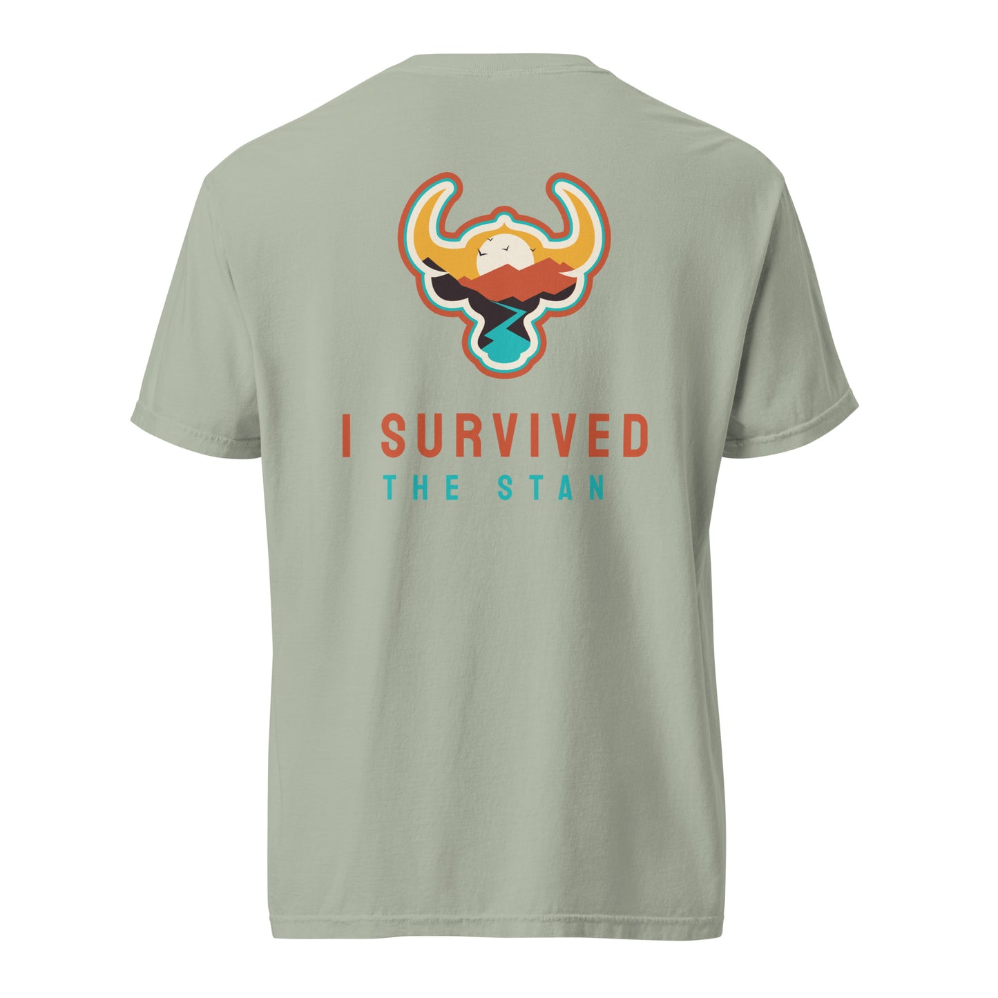 I Survived the Stan Unisex heavyweight t-shirt