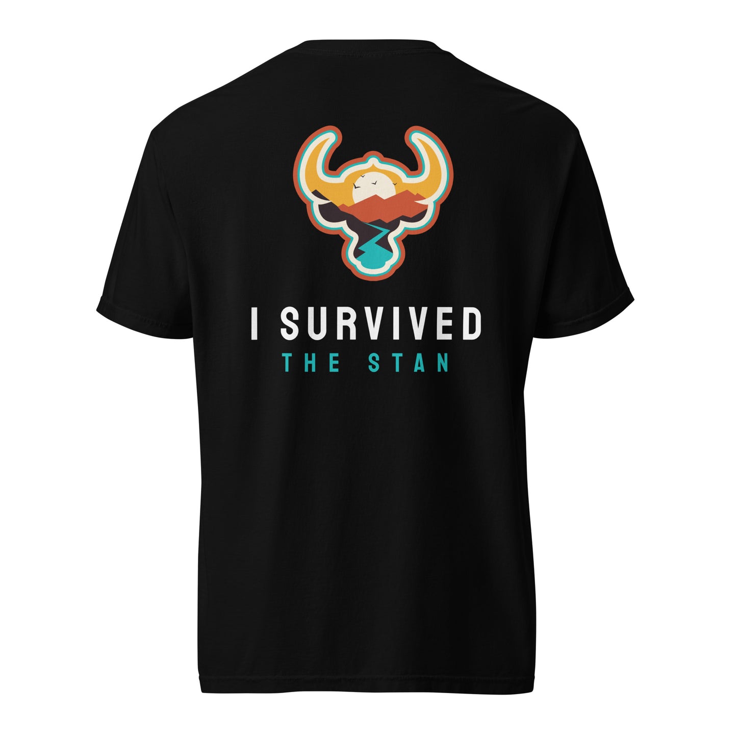I Survived the Stan Unisex heavyweight t-shirt