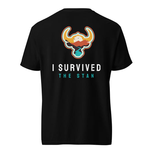 I Survived the Stan Unisex heavyweight t-shirt