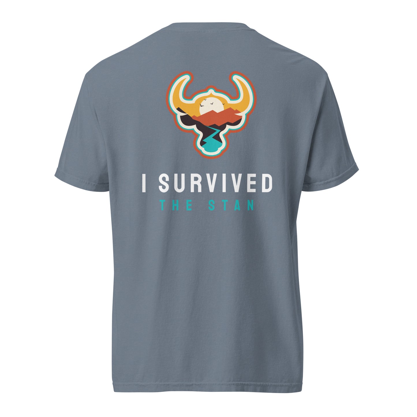I Survived the Stan Unisex heavyweight t-shirt