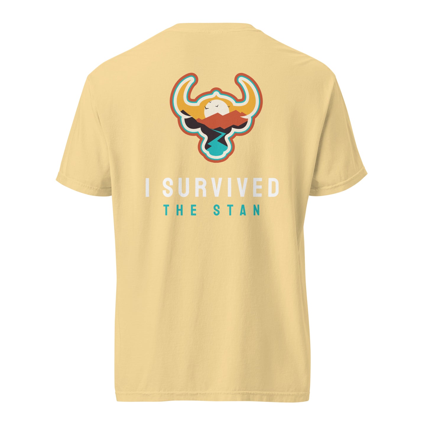 I Survived the Stan Unisex heavyweight t-shirt