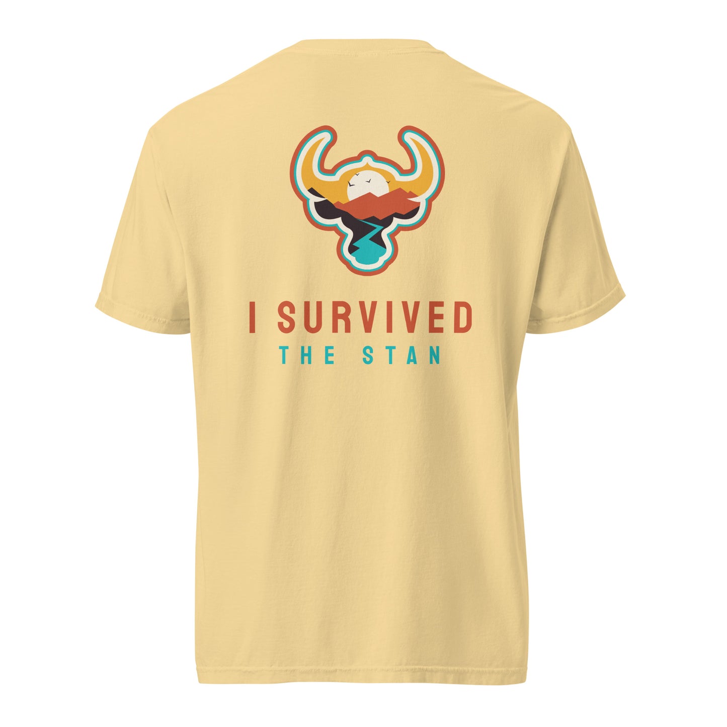 I Survived the Stan Unisex heavyweight t-shirt