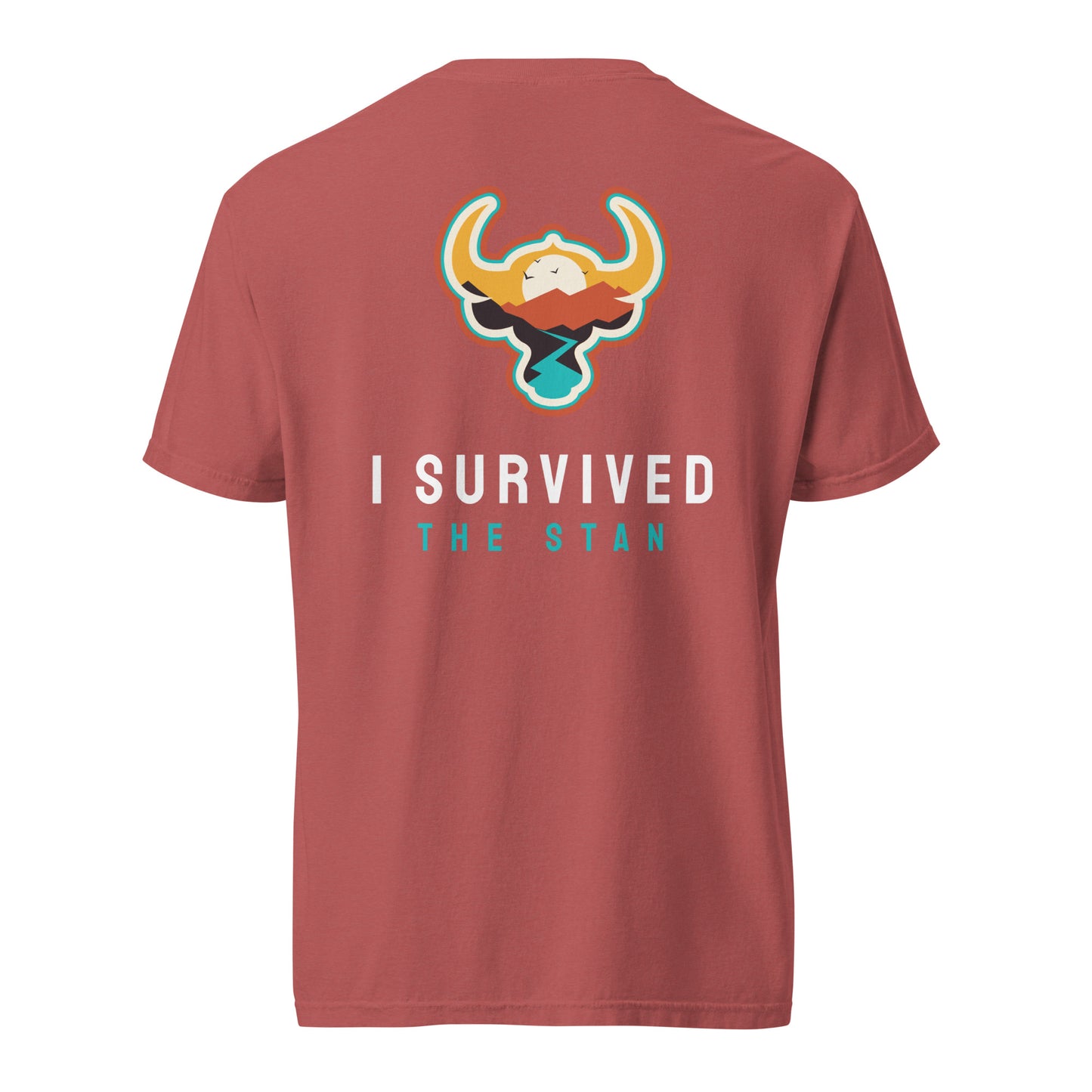 I Survived the Stan Unisex heavyweight t-shirt