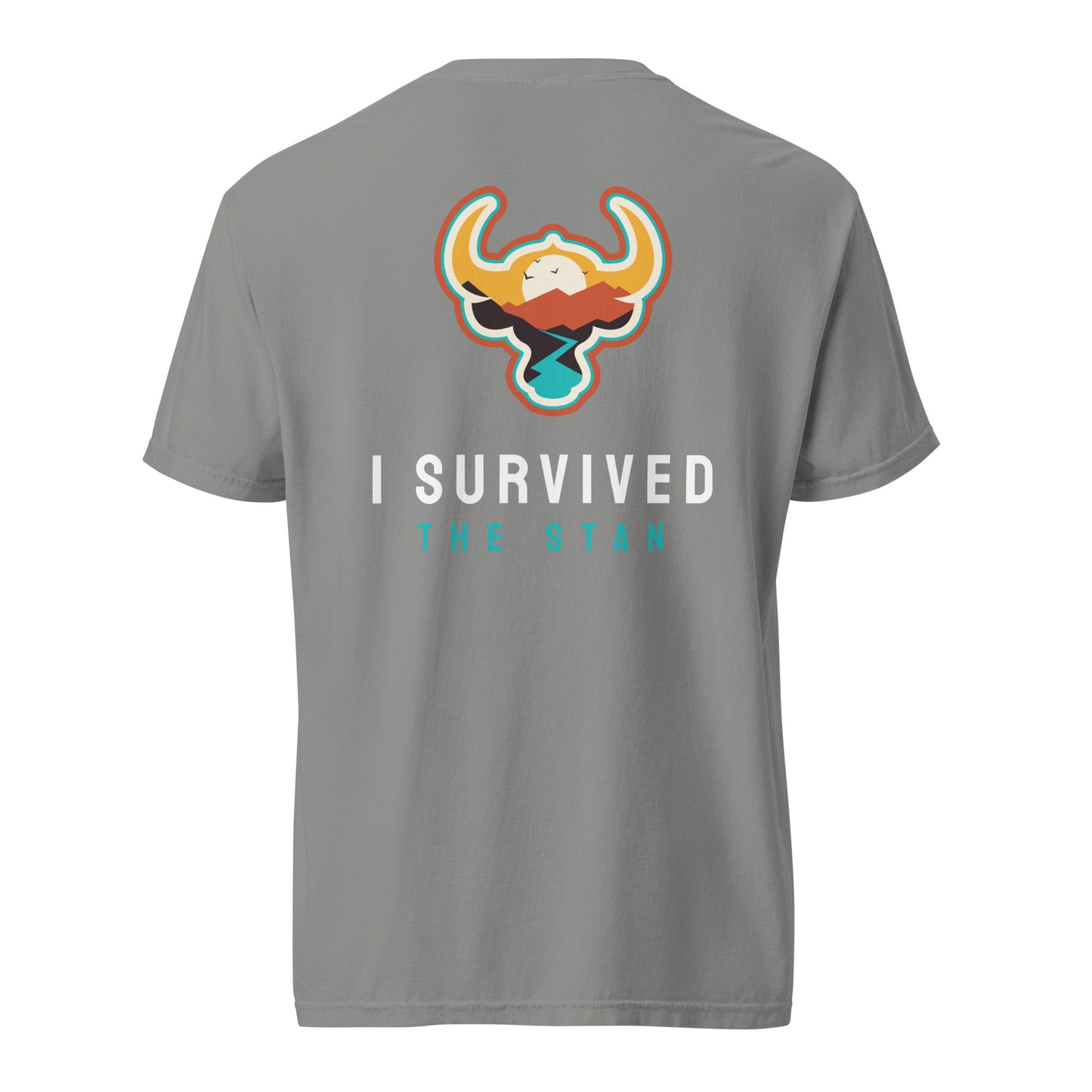 I Survived the Stan Unisex heavyweight t-shirt