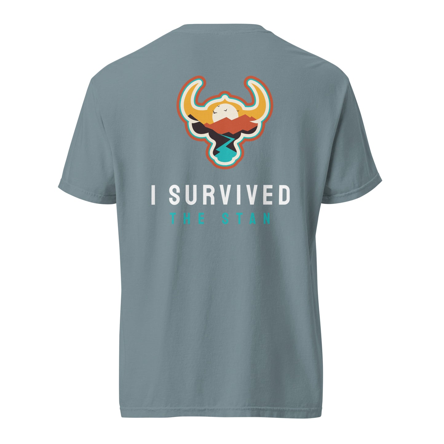 I Survived the Stan Unisex heavyweight t-shirt