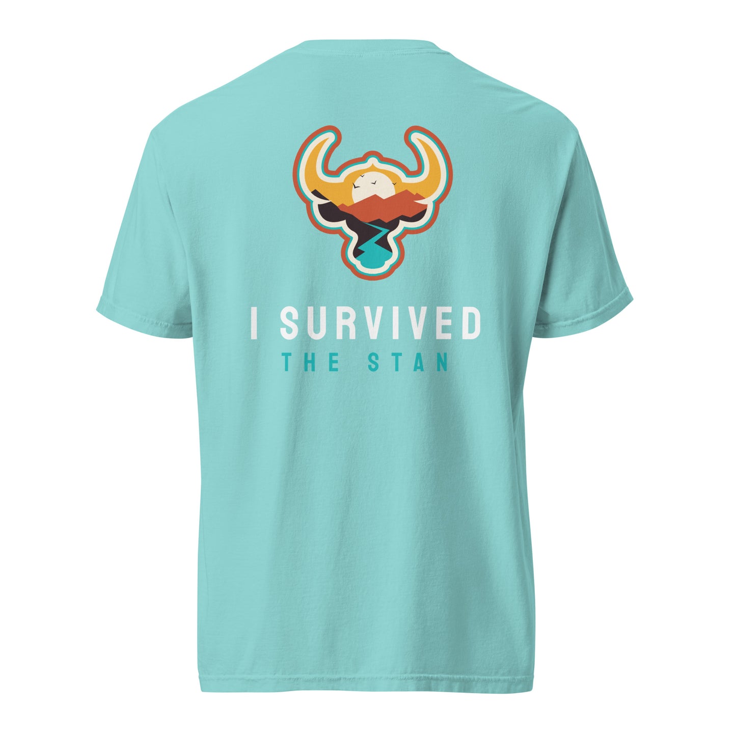 I Survived the Stan Unisex heavyweight t-shirt