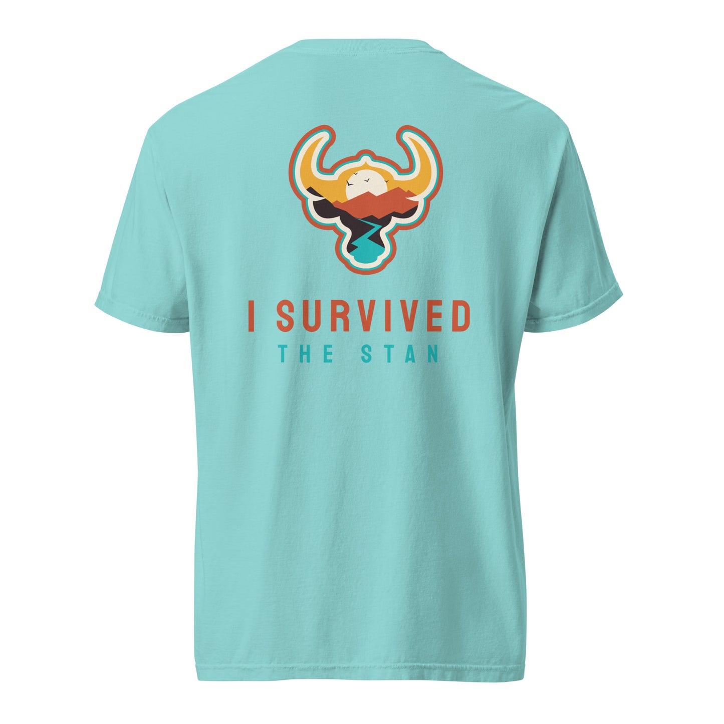 I Survived the Stan Unisex heavyweight t-shirt