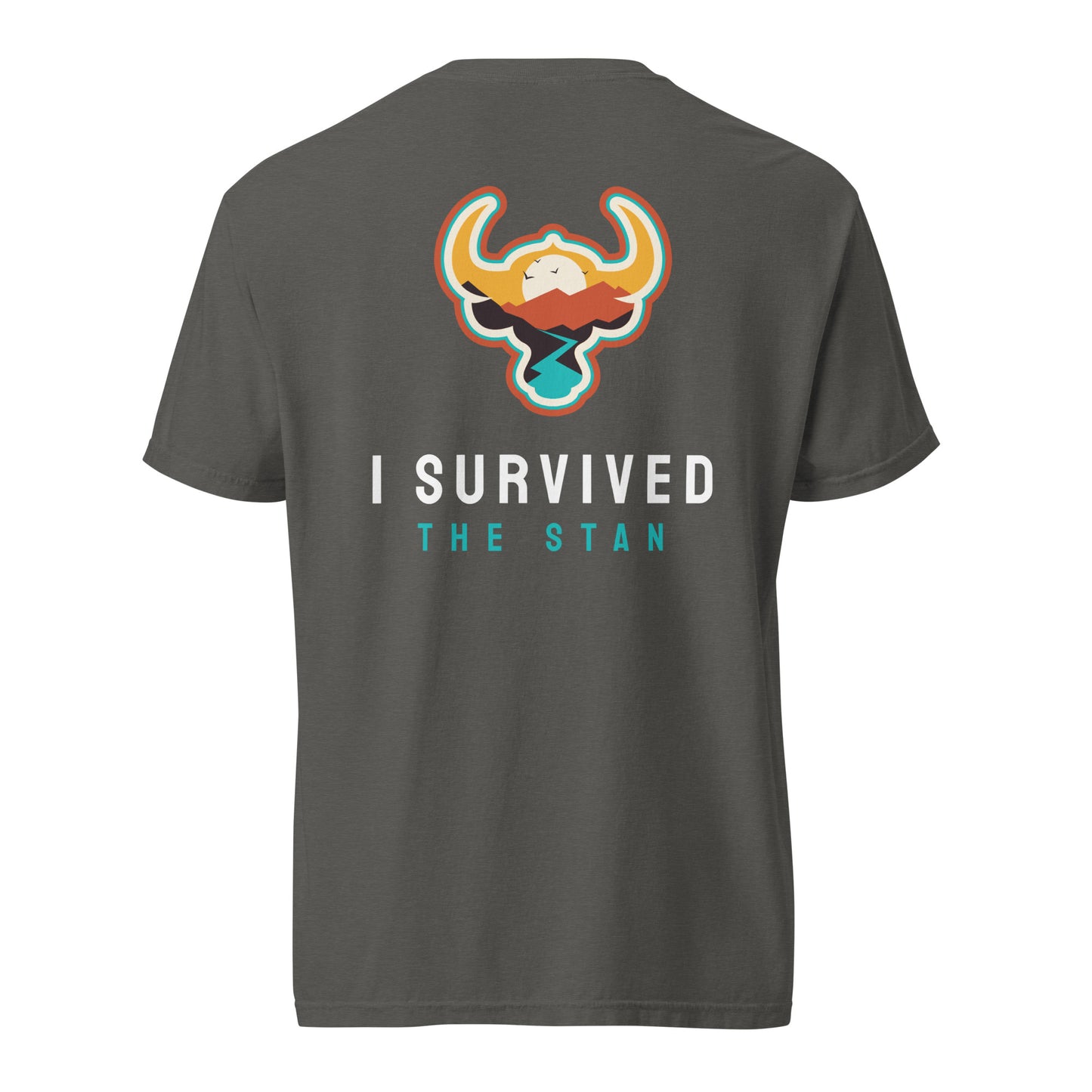 I Survived the Stan Unisex heavyweight t-shirt