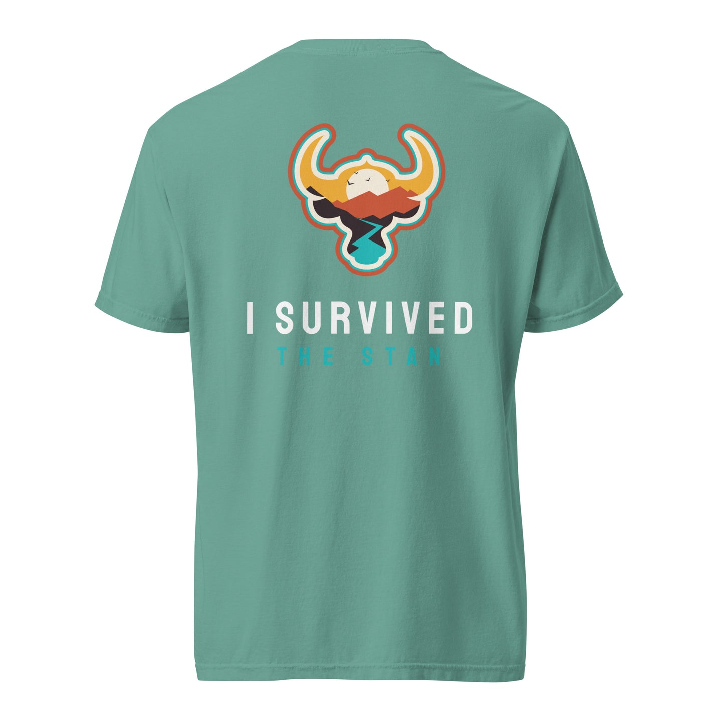 I Survived the Stan Unisex heavyweight t-shirt