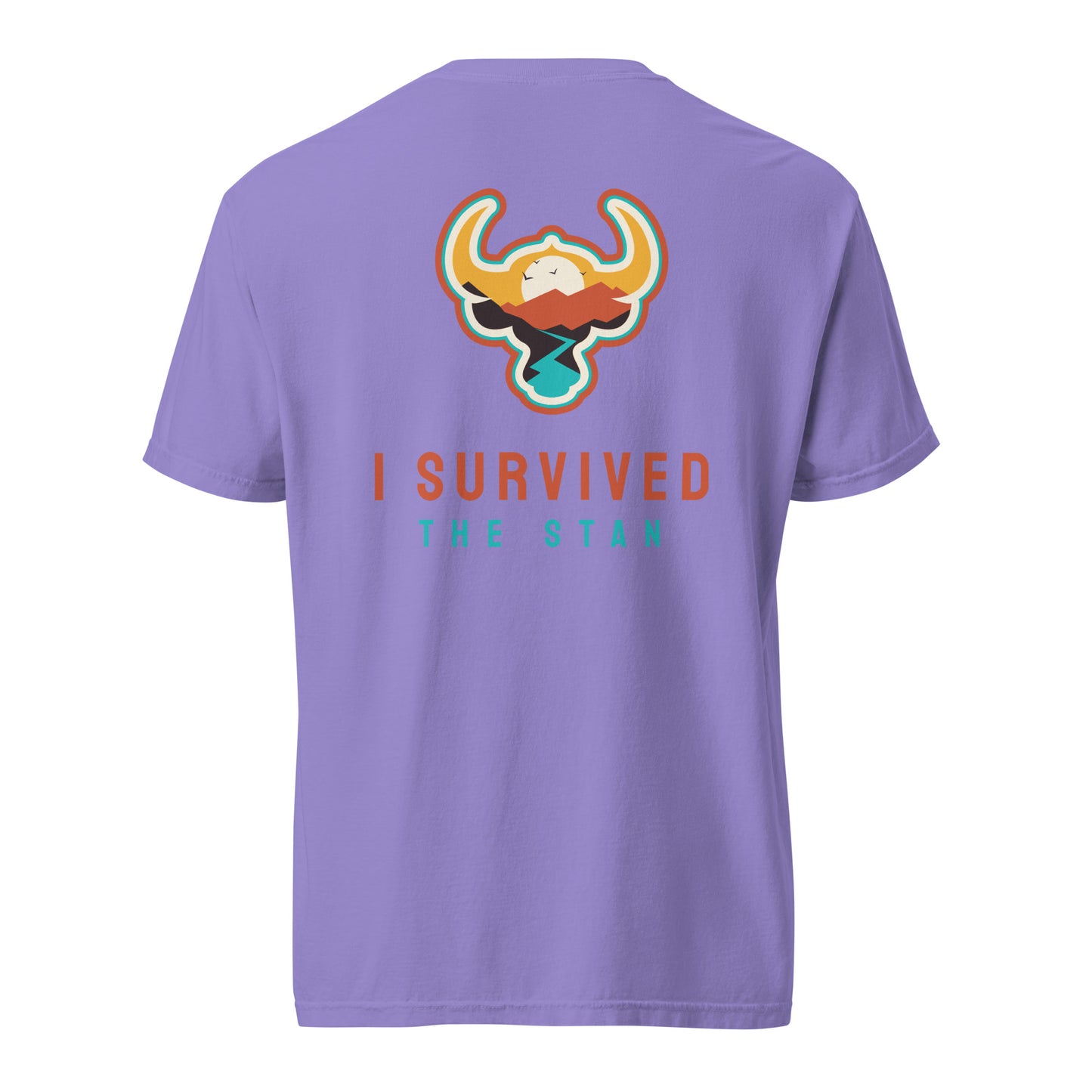 I Survived the Stan Unisex heavyweight t-shirt